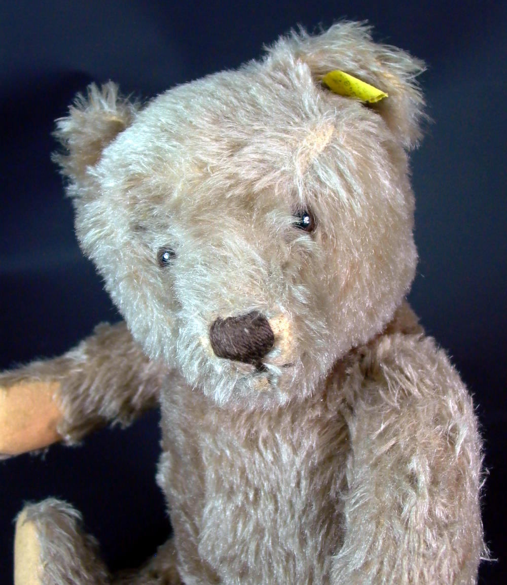 Teddybär Steiff   Mohair / Knopf und Fahne 1950/60